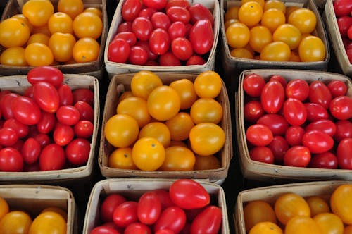 Cherry Tomatoes in Boxes