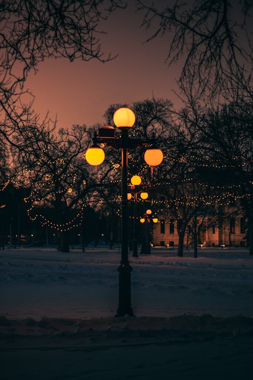 Street Lights During Night Time