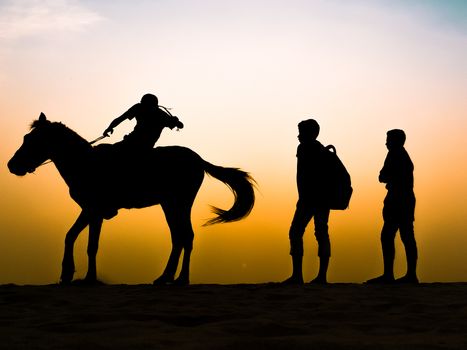 Silhouette Man Riding a House