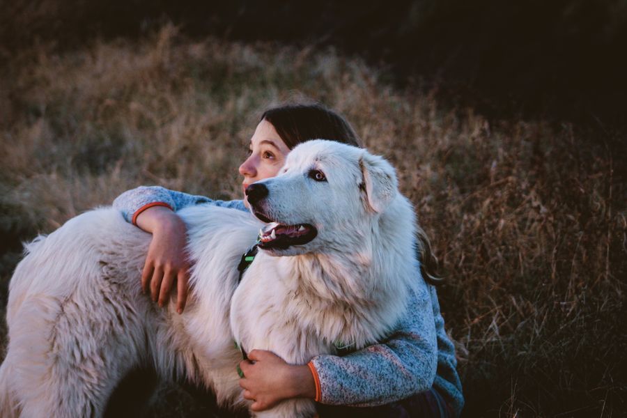 Woman holding her happy white dog outdoors
