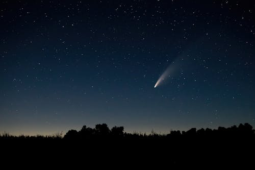 Silhouet Van Bomen Onder De Blauwe Hemel Tijdens De Nacht