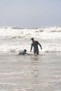 Free stock photo of action, adult, beach