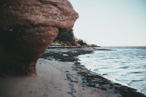 Free Sandy seashore surrounded by rocky cliffs Stock Photo