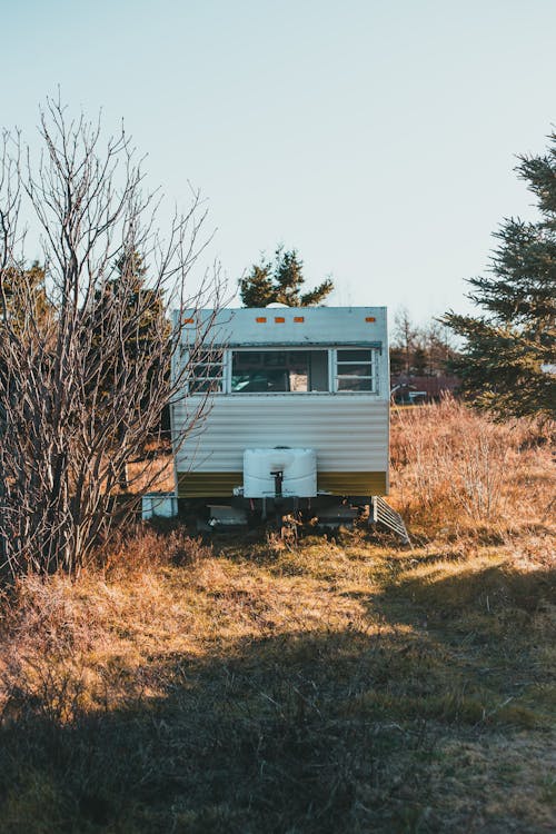 Exterior of trailer house located on dry grassy hill slope near leafless and coniferous tress against cloudless sky in sunlight