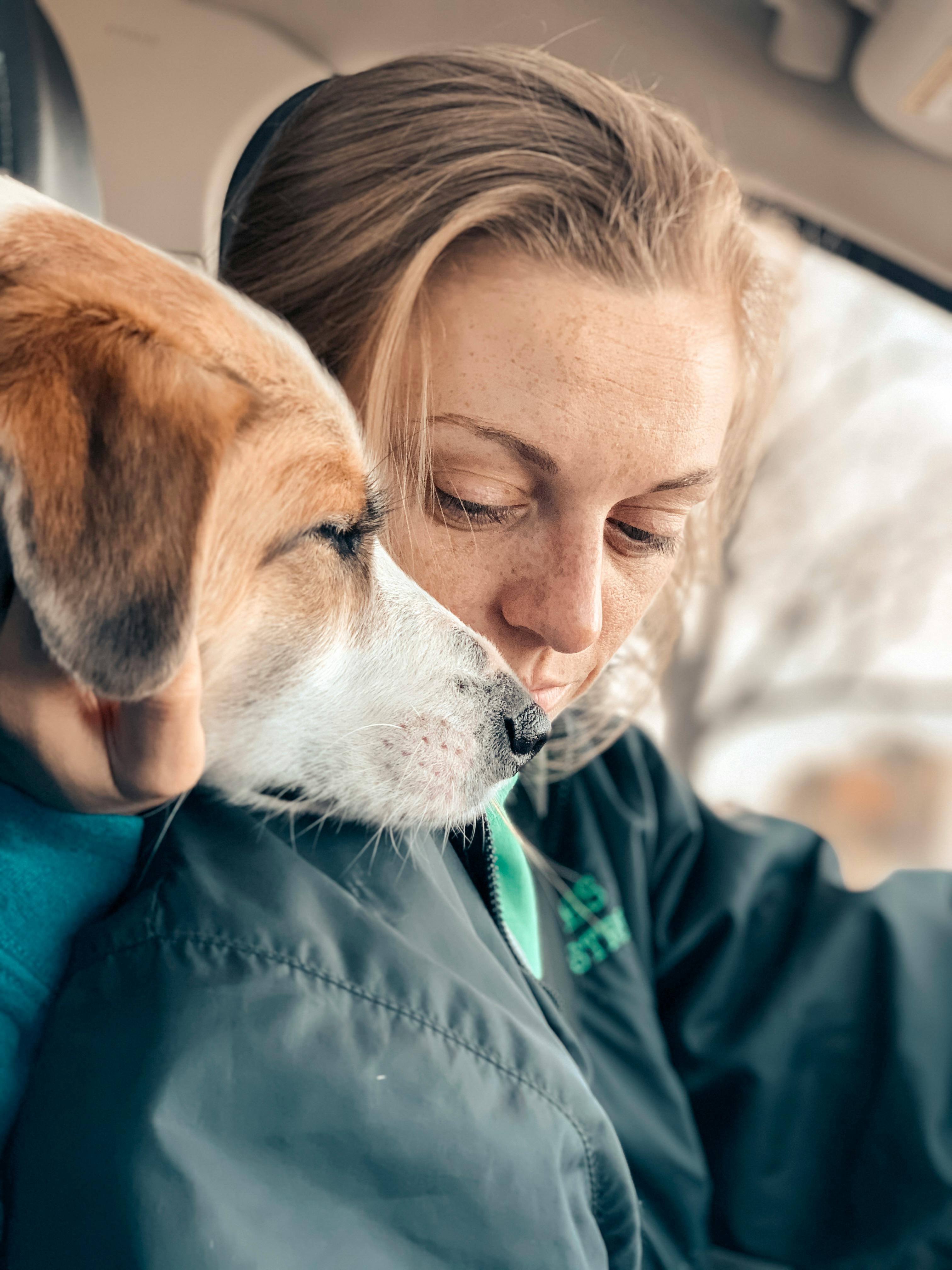 Close Up Photo of Dog and its Owner · Free Stock Photo