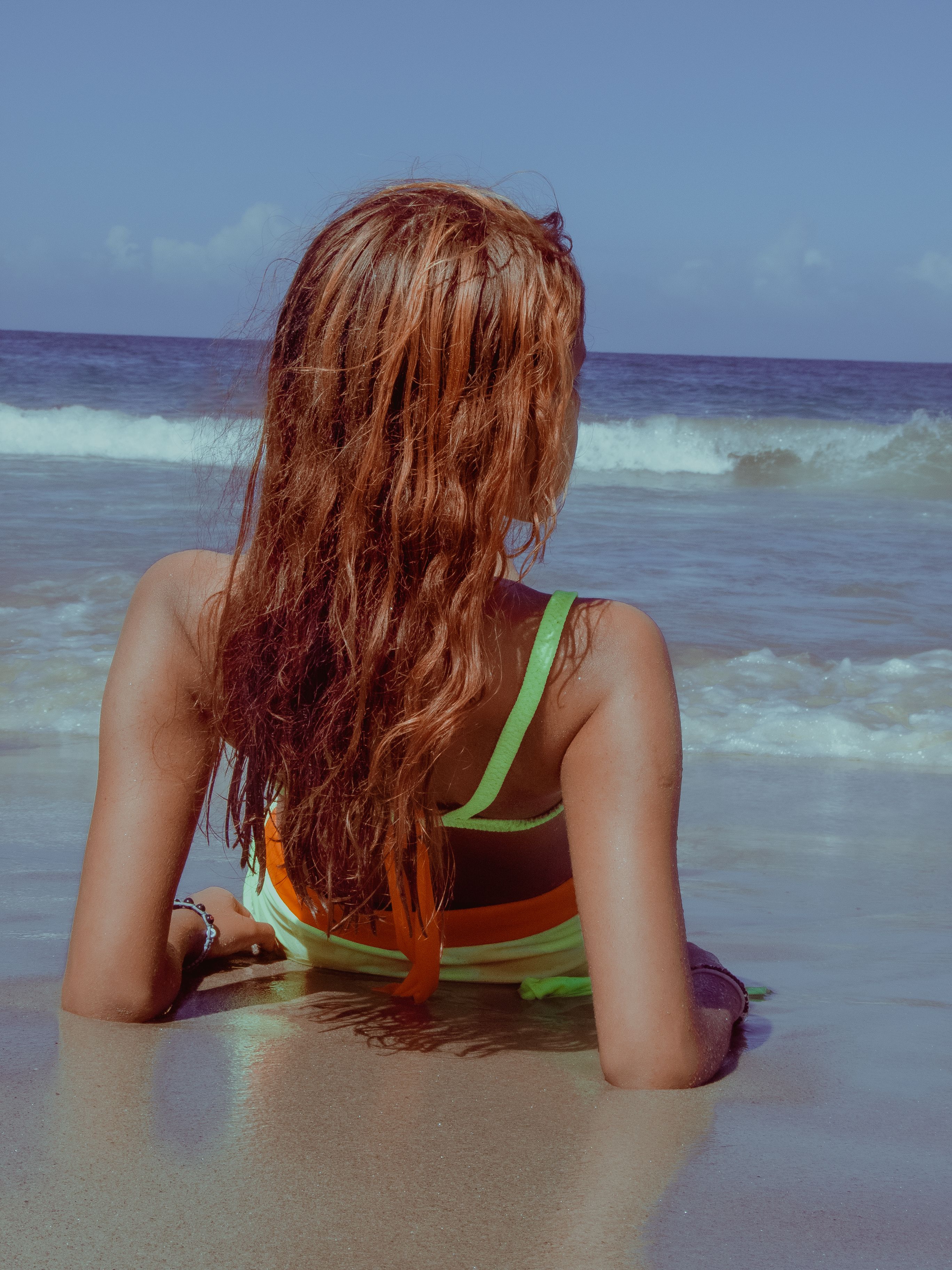 Bacview of Woman's Hair · Free Stock Photo