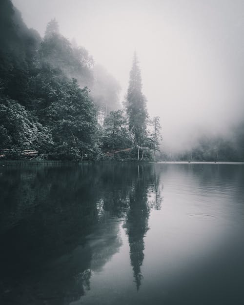 Základová fotografie zdarma na téma jezero, mlha, odraz