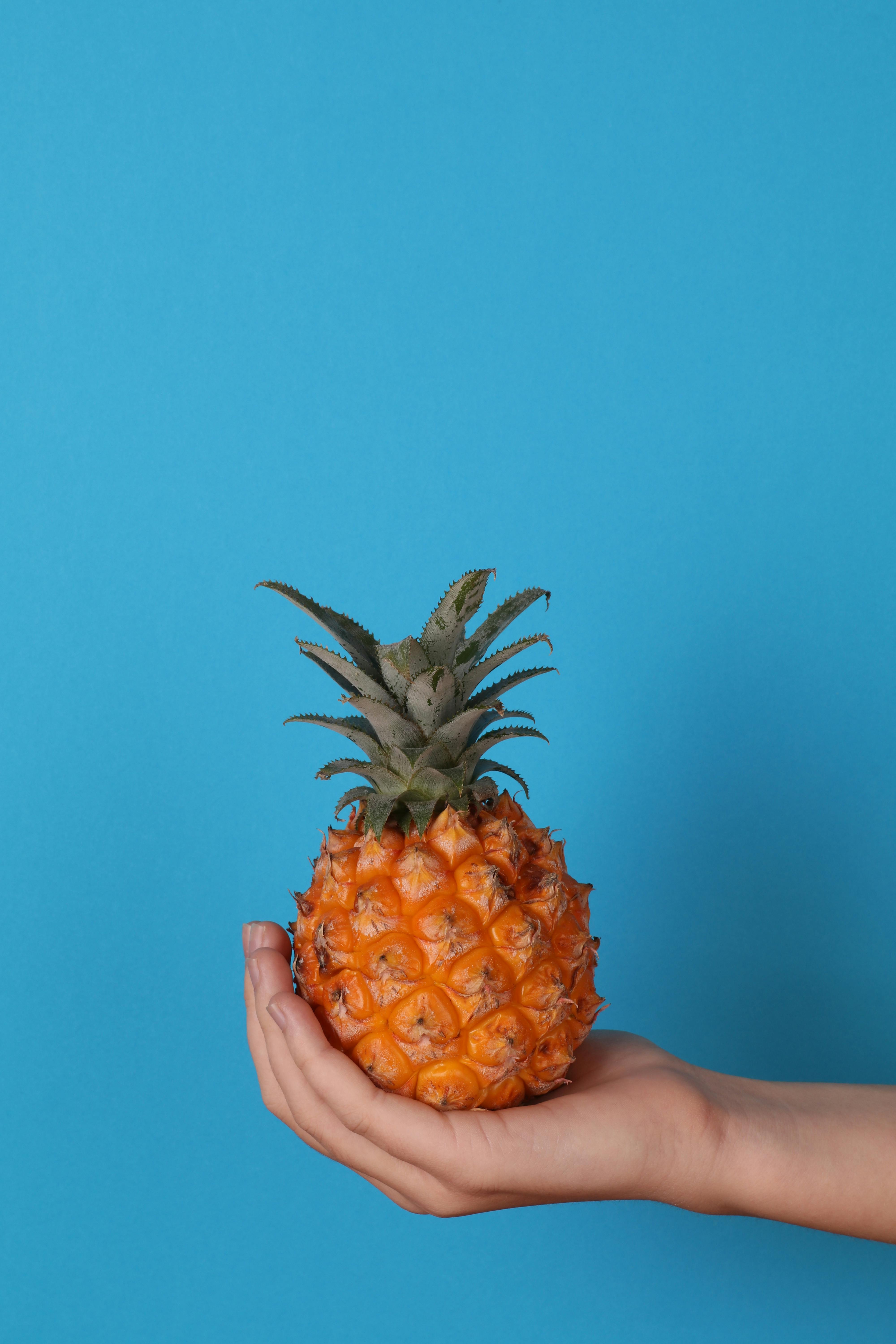 Hand Holding A Pineapple Photos, Download Free Hand Holding A Pineapple ...