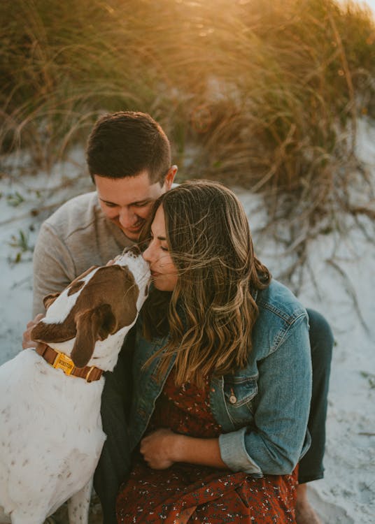 Young couple kissing loyal dog on sandy terrain