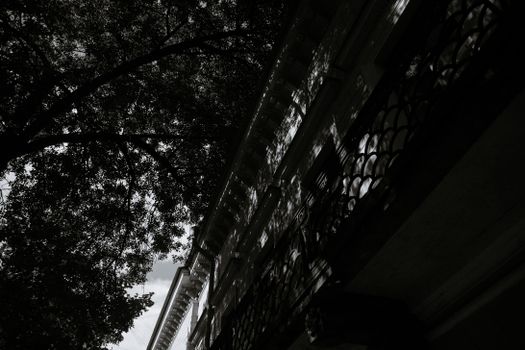 Low angle shot of building and tree silhouette in black and white.