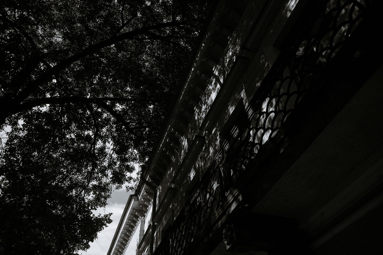 low angle shot of building and tree silhouette in black and white