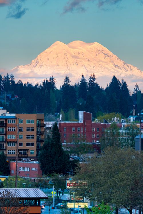 Free A beautiful snow-capped mountain towering over a vibrant cityscape with lush trees. Stock Photo