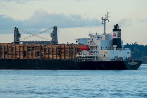 A Cargo Ship Sailing on the Water