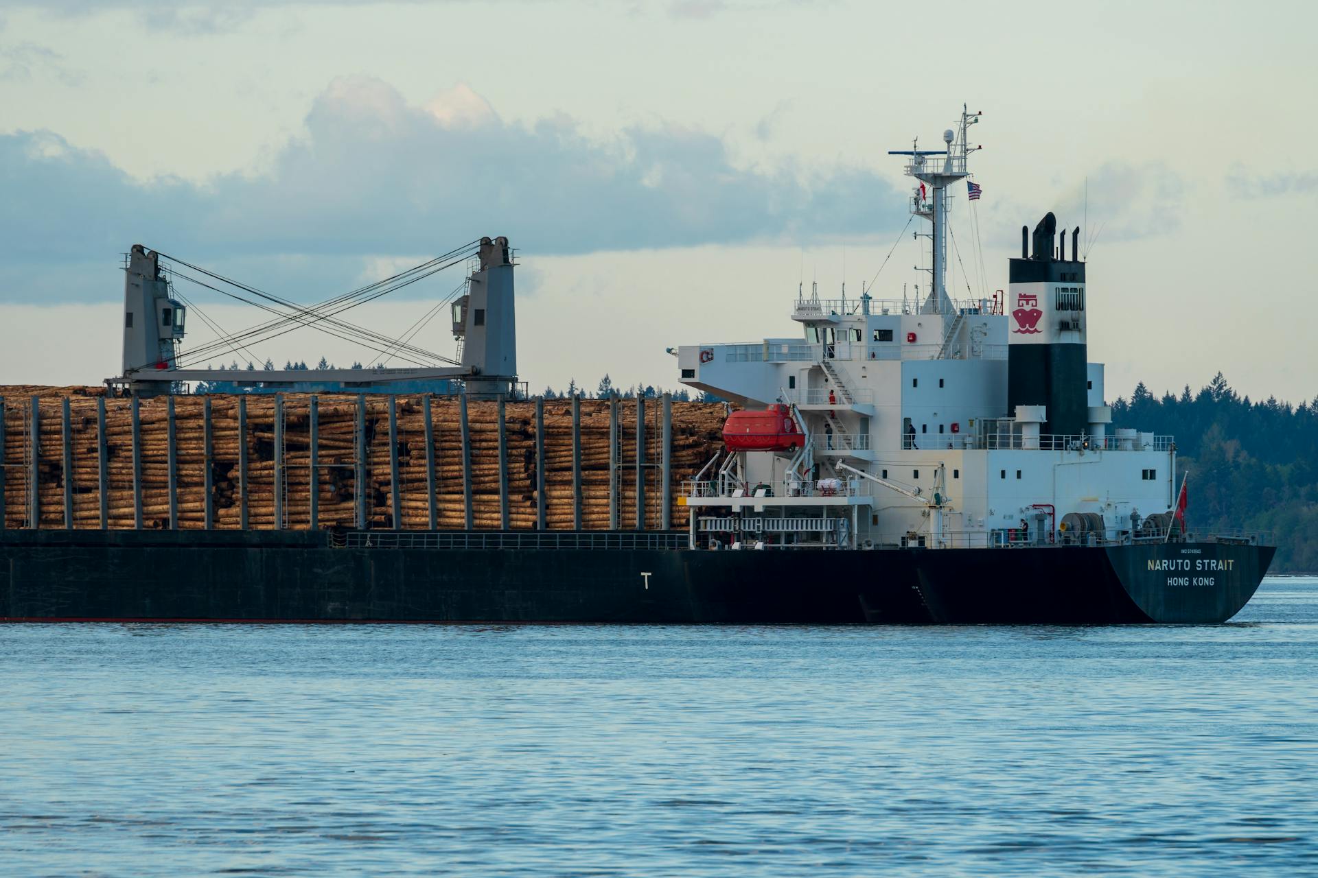 A cargo ship loaded with logs sails on the clear waters near Olympia, WA, during the day.