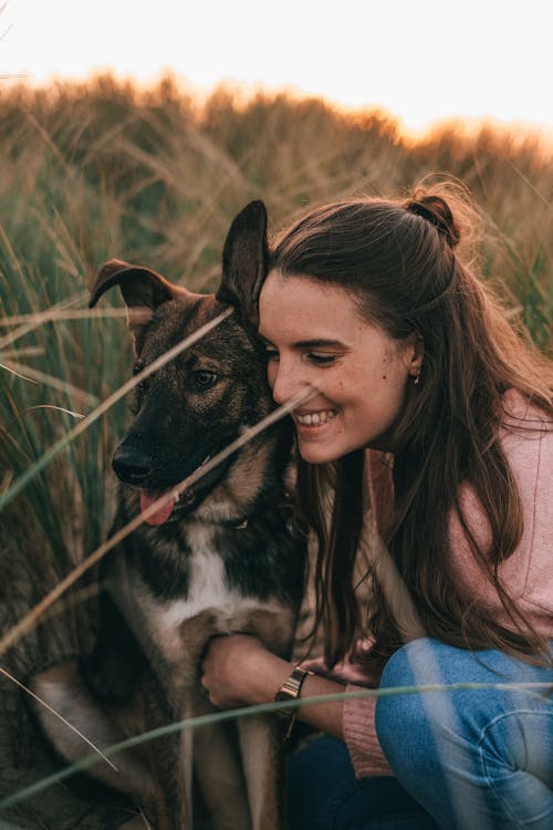 Free Happy young female owner in casual clothes smiling and hugging adorable loyal German Shepherd dog while spending time together in rural field at sunset Stock Photo