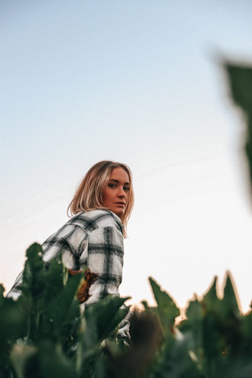 Free Side view of young calm female tourist with blond hair in stylish checkered shirt looking at camera while resting in green meadow during holiday in countryside at sunset Stock Photo