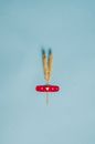 Dry twigs and medical plaster placed on blue wall
