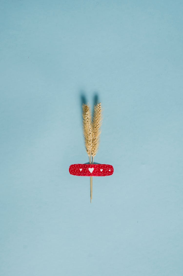 Dry Twigs And Medical Plaster Placed On Blue Wall