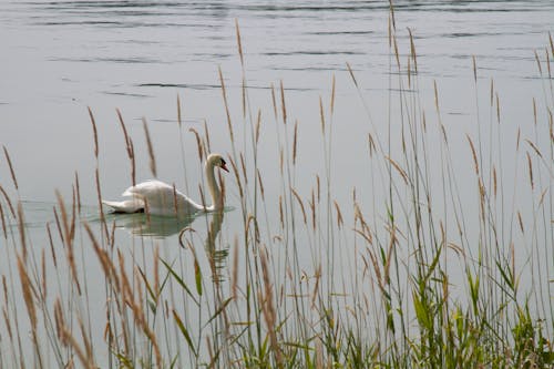 Ilmainen kuvapankkikuva tunnisteilla grã¼n, himmel, natur