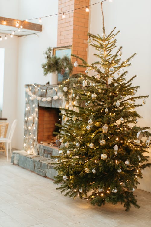 A Well-Decorated Christmas Tree Inside the Home