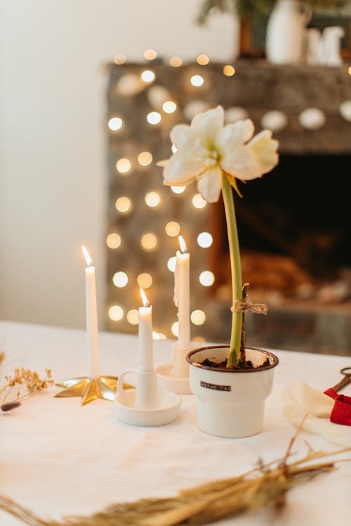 Free White Flower on a Ceramic Pot and Lighted Candles Stock Photo