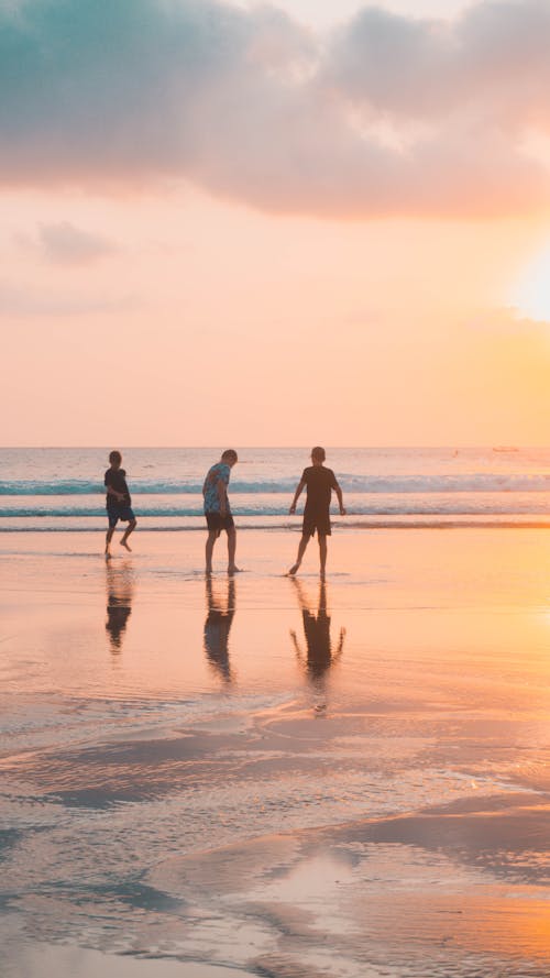 People Standing on the Beach During Sunset