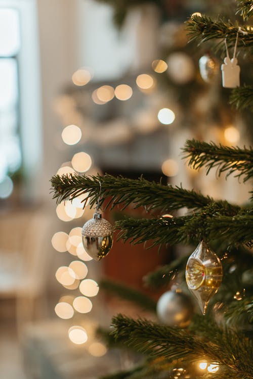 無料 インドア, クリスマス, クリスマスツリーの無料の写真素材 写真素材