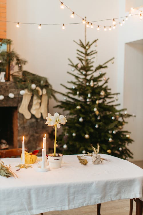 Fotos de stock gratuitas de adornos de navidad, ambiente navideño