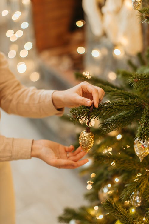 Photo of Person Putting Christmas Decor