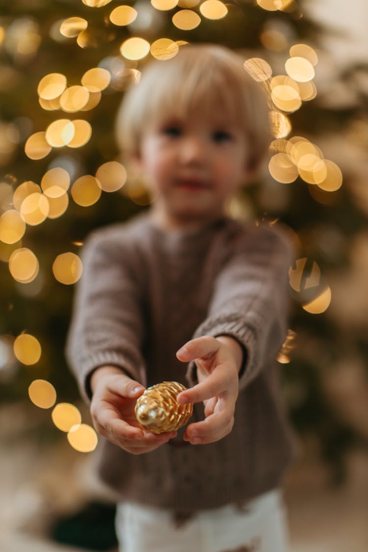 A Child Holding A Pinecone