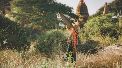 A Person Working at a Farm