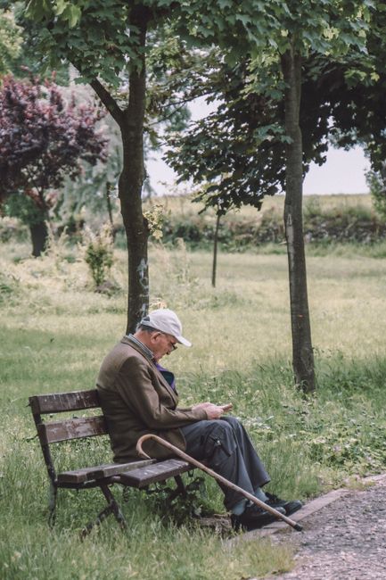 Senior man enjoys leisure time on a wooden bench in a lush, green park, surrounded by trees and peaceful nature.