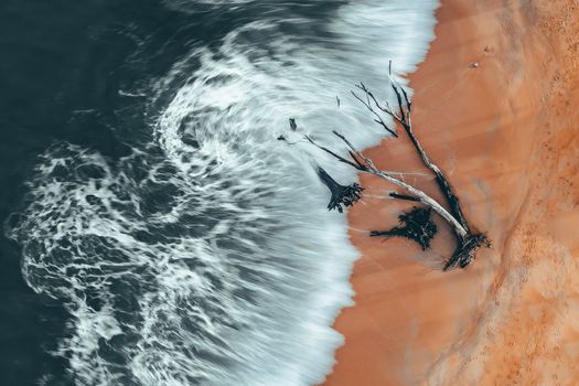 Aerial view of foamy wavy sea water washing orange sandy coast with broken trees