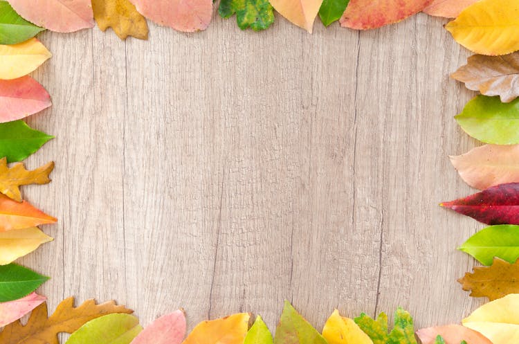 Assorted Leaves Piled On Border Of Brown Wooden Board