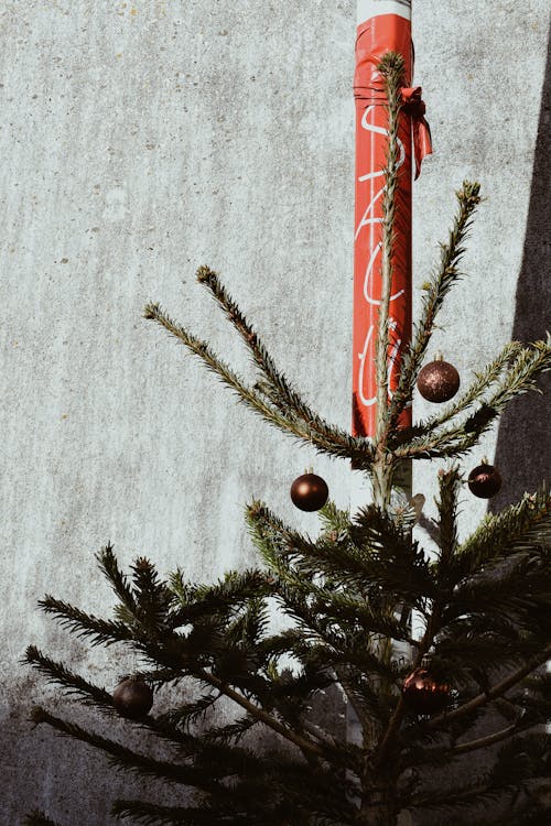 무료 그린 크리스마스 트리에 빨간색과 흰색 크리스마스 싸구려 스톡 사진