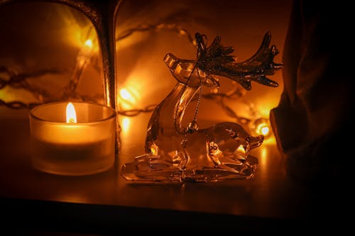 キャンドル, クリスマスの飾り, トナカイの無料の写真素材