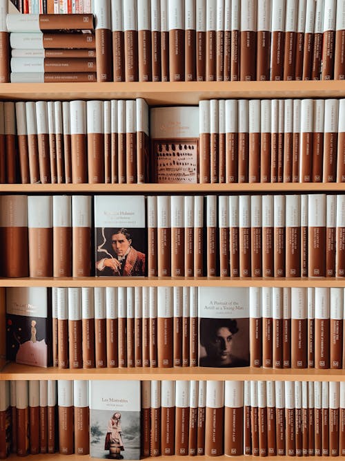 Free Collection of literature arranged on bookshelves in store Stock Photo