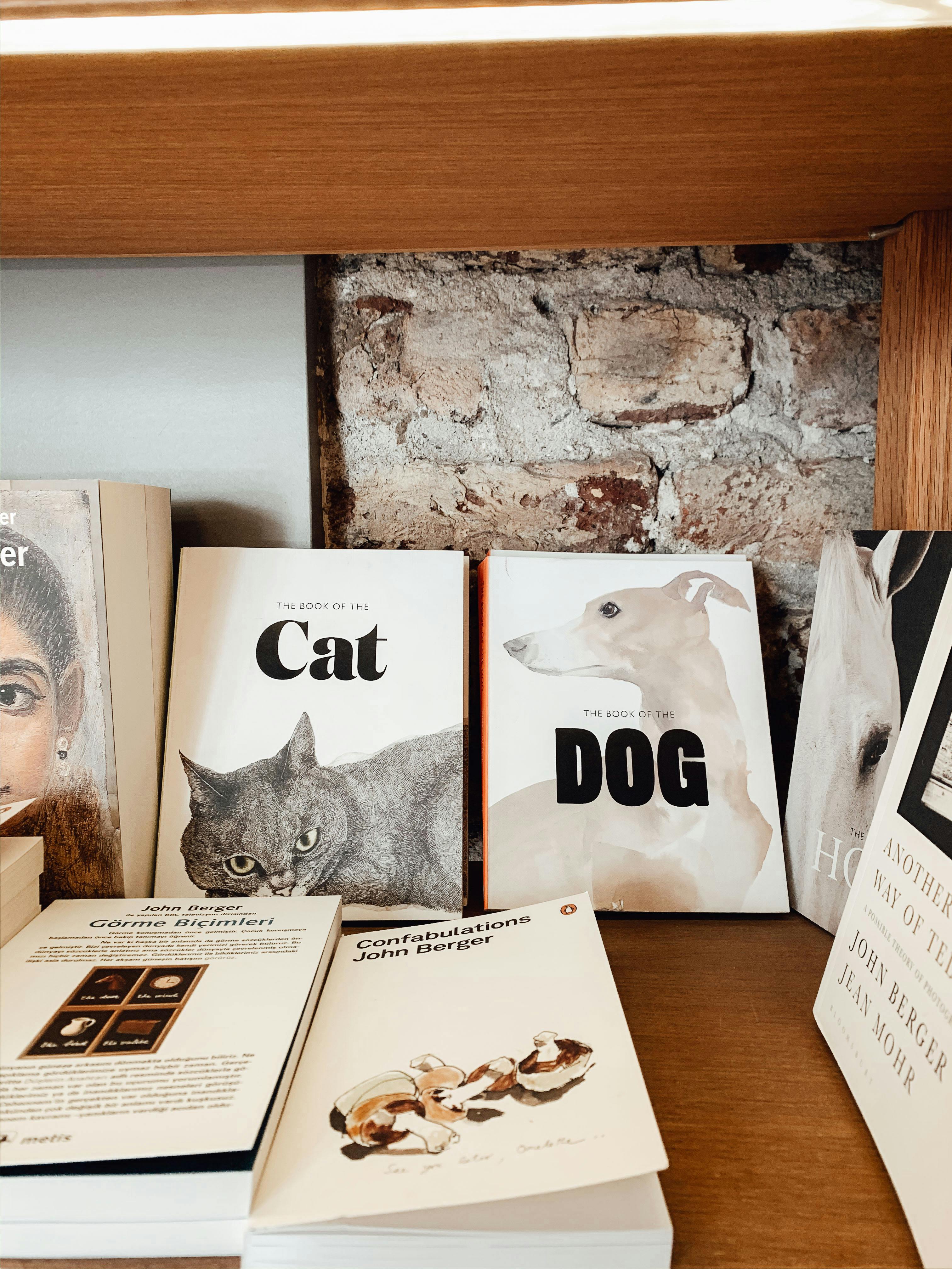 Free Books about animals placed on wooden shelf against white wall in room in daytime Stock Photo