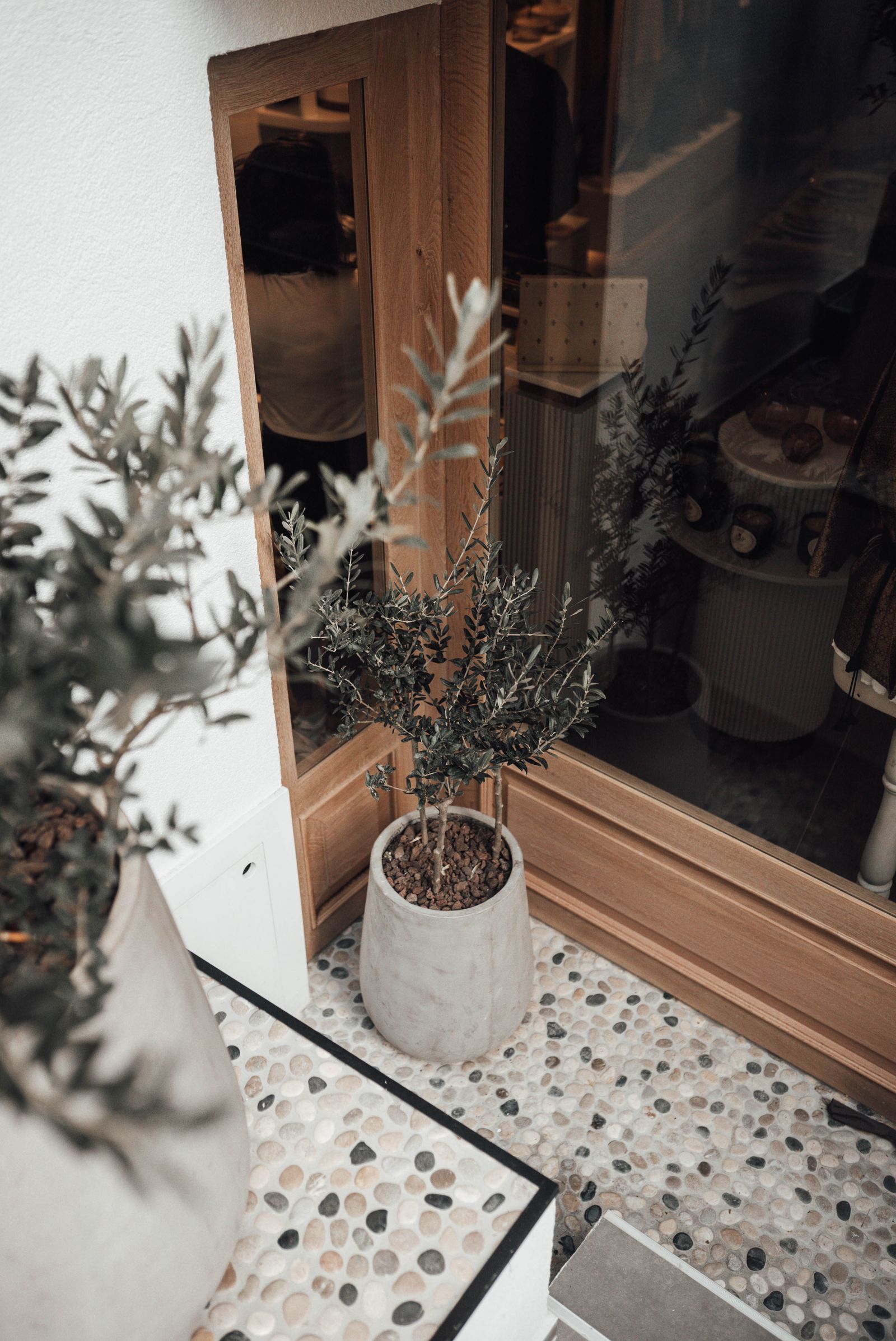 Vasos com plantas sobre piso de mosaico junto à porta de um terraço.