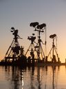 Spotlights and cameras on tripod for shooting in pond