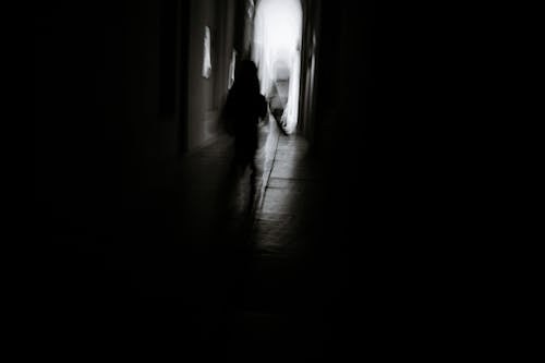 Foto stok gratis bayangan hitam, berjalan, gelap
