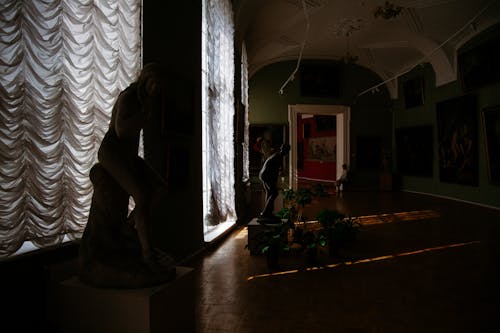Statues Inside a Museum