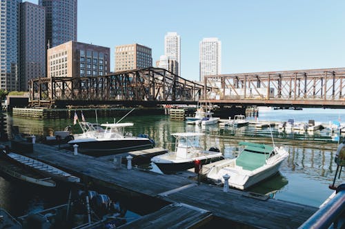 Free Several Boats on Body of Water Under Brown Bridge Stock Photo