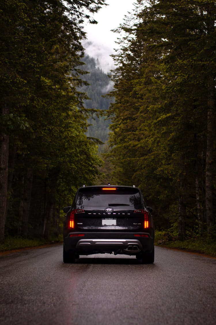 Black Vehicle On The Road