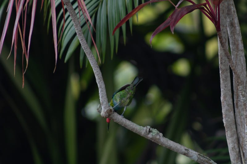 Detaliu al sertarelor și finisajului unei mese de toaletă personalizate