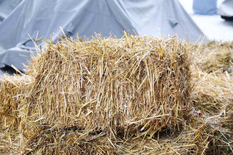 Жыл мезгілдеріне сәйкес тазалық жоспары