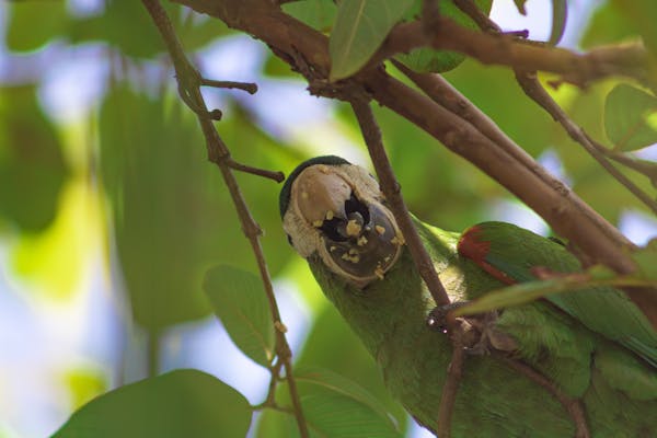 fashion street style