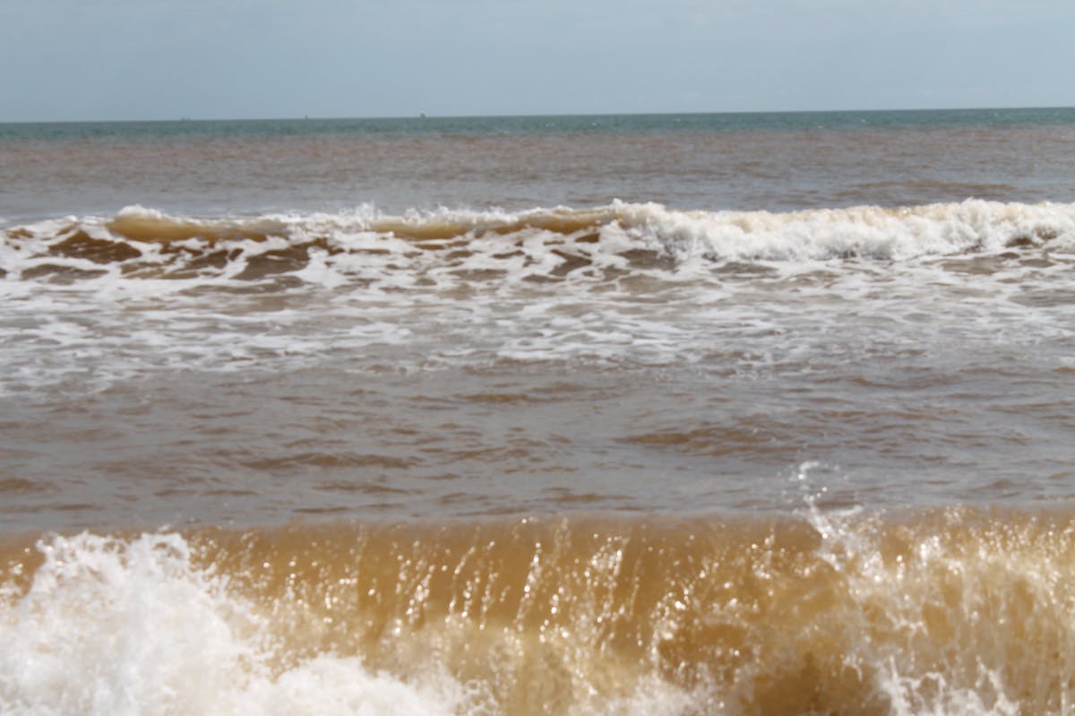 Flat lay of fashionable accessories including a belt, sunglasses, jewelry and a bag on a neutral background
