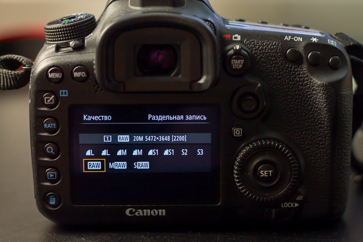 Rear view of a chic street style outfit being photographed in a city