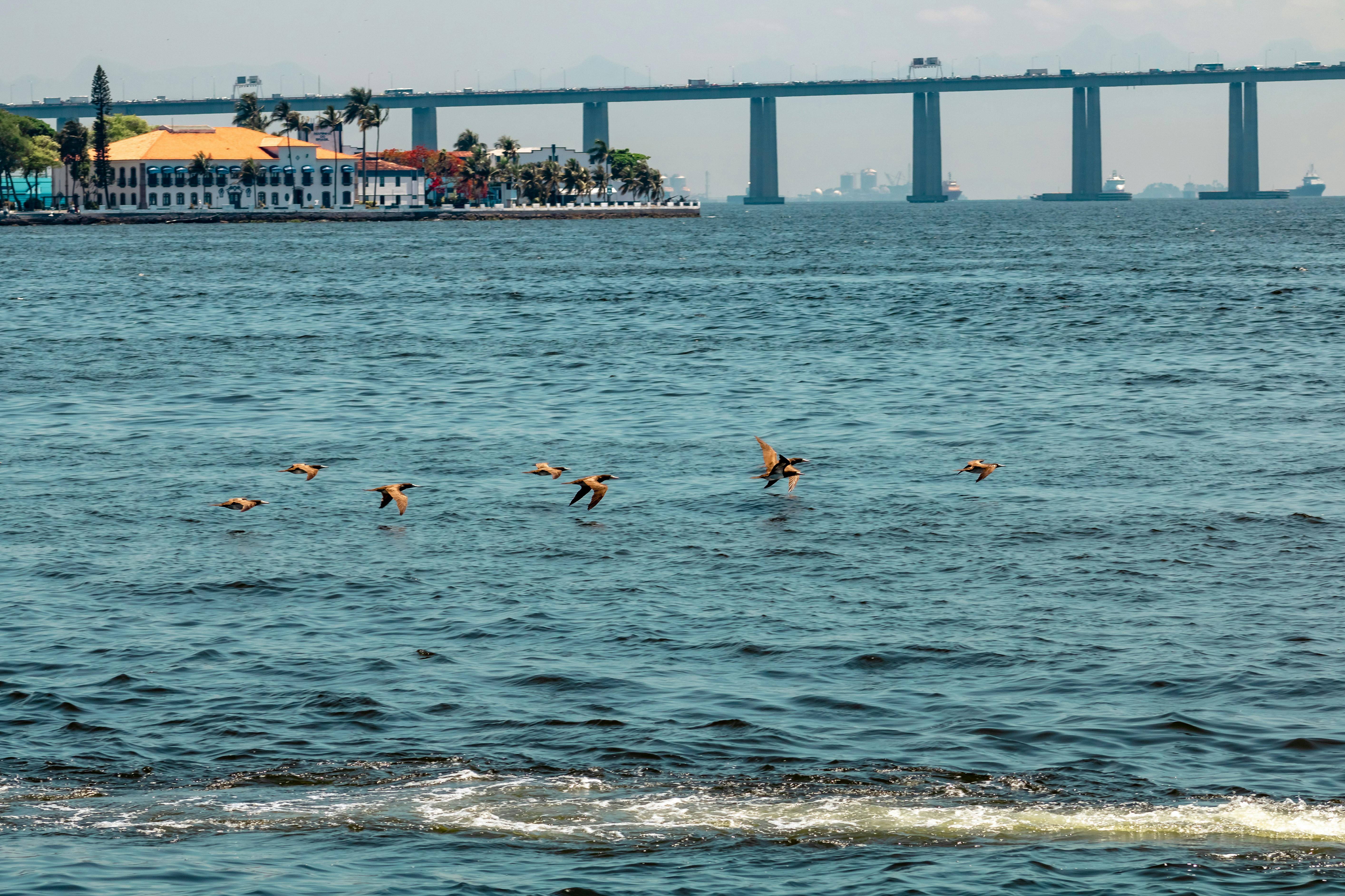 High-fashion black dress with veil and dramatic silhouette on a model